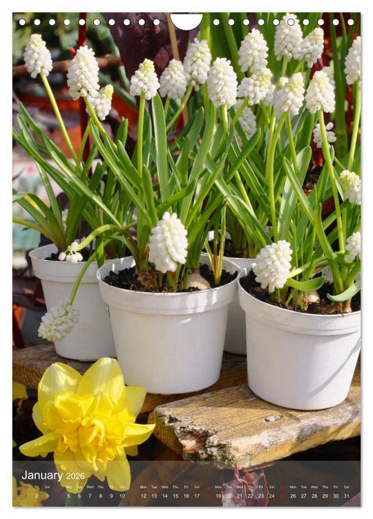 Produktbild: Garden Bliss (Wall Calendar 2026 DIN A4 portrait), CALVENDO 12 Month Wall Calendar