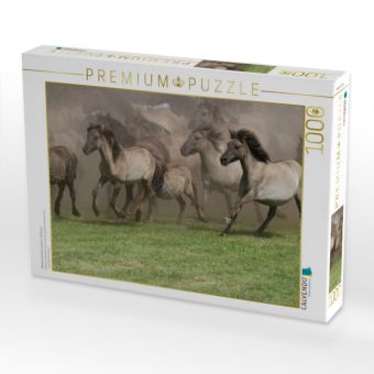 Produktbild: CALVENDO Puzzle Wildpferde beim Einlauf in die Arena | 1000 Teile Lege-Gr&ouml;&szlig;e 64x48cm Foto-Puzzle f&uuml;r gl&uuml;ckliche Stunden