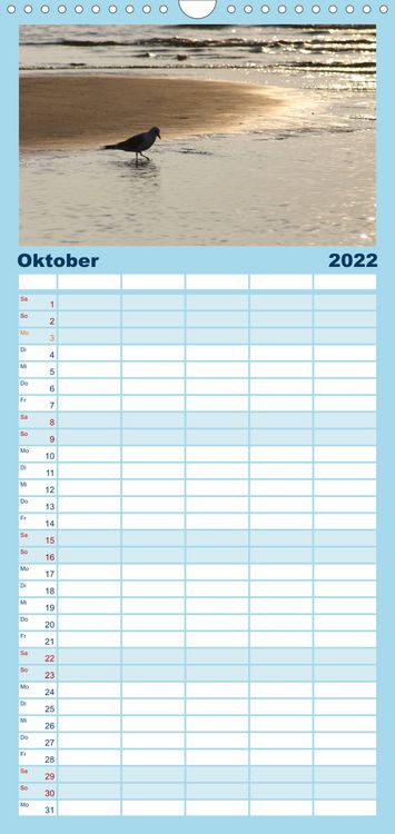 Produktbild: Familienplaner Nordsee - Lichtstimmungen an der K&uuml;ste (Wandkalender 2022 , 21 cm x 45 cm, hoch)