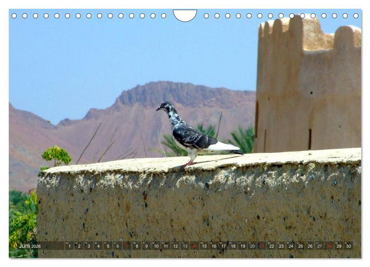 Produktbild: Oman - Eine Bilder-Reise (Wandkalender 2026 DIN A4 quer), CALVENDO Monatskalender