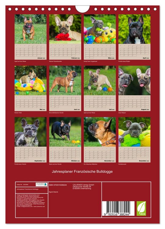 Produktbild: Jahresplaner Franz&ouml;sische Bulldogge (Wandkalender 2026 DIN A4 hoch), CALVENDO Monatskalender