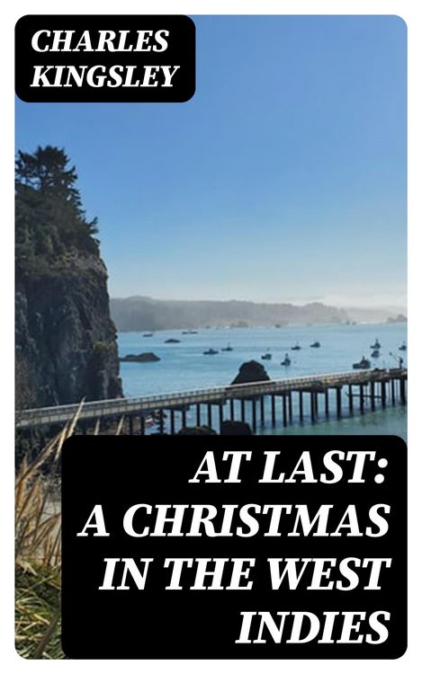 Produktbild: At Last: A Christmas in the West Indies