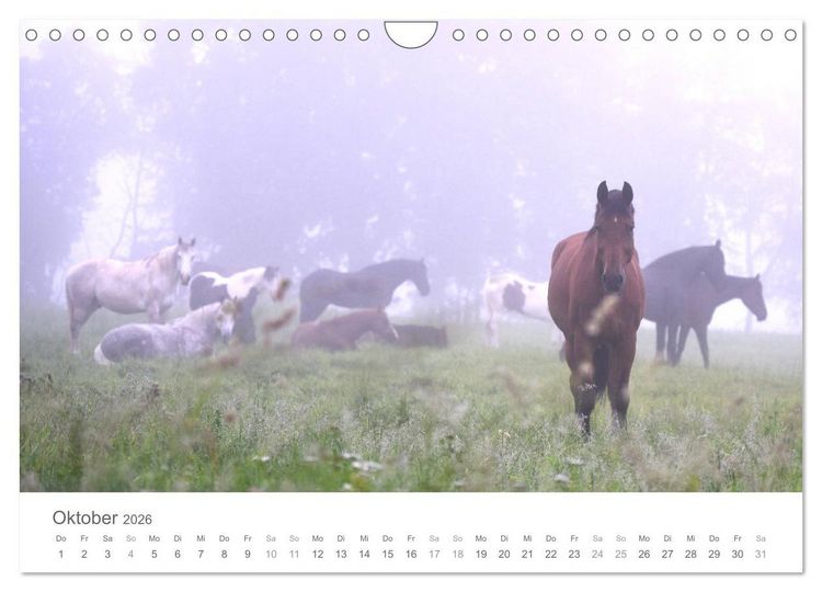 Produktbild: M&auml;rchenpferde (Wandkalender 2026 DIN A4 quer), CALVENDO Monatskalender
