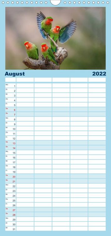 Produktbild: Papageien - Frech, sch&ouml;n und schlau - Familienplaner hoch (Wandkalender 2022 , 21 cm x 45 cm, hoch)
