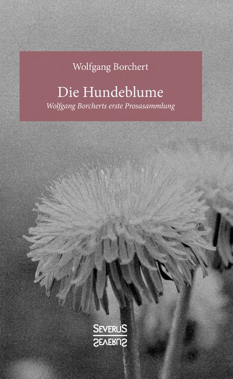 Produktbild: Die Hundeblume