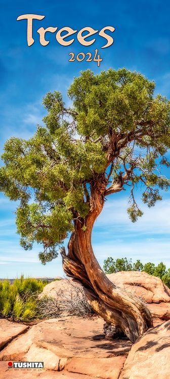 Produktbild: Trees 2024