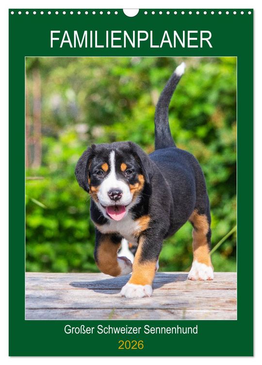 Produktbild: Familienplaner Gro&szlig;er Schweizer Sennenhund (Wandkalender 2026 DIN A3 hoch), CALVENDO Monatskalender