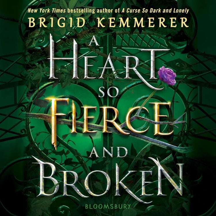 Bild vom Artikel A Heart So Fierce and Broken vom Autor Brigid Kemmerer