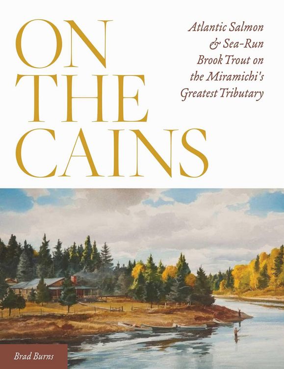 Produktbild: On the Cains