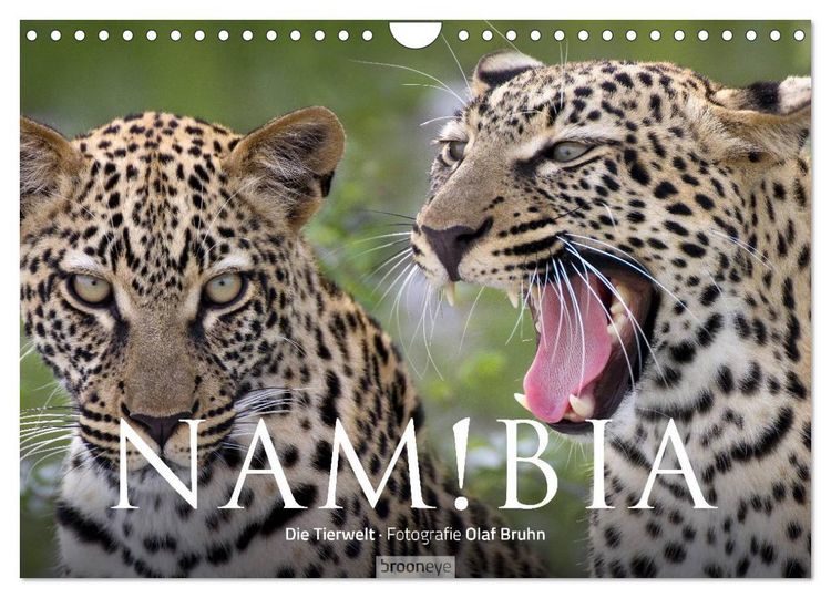 Produktbild: Namibia - Die Tierwelt (Wandkalender 2026 DIN A4 quer), CALVENDO Monatskalender
