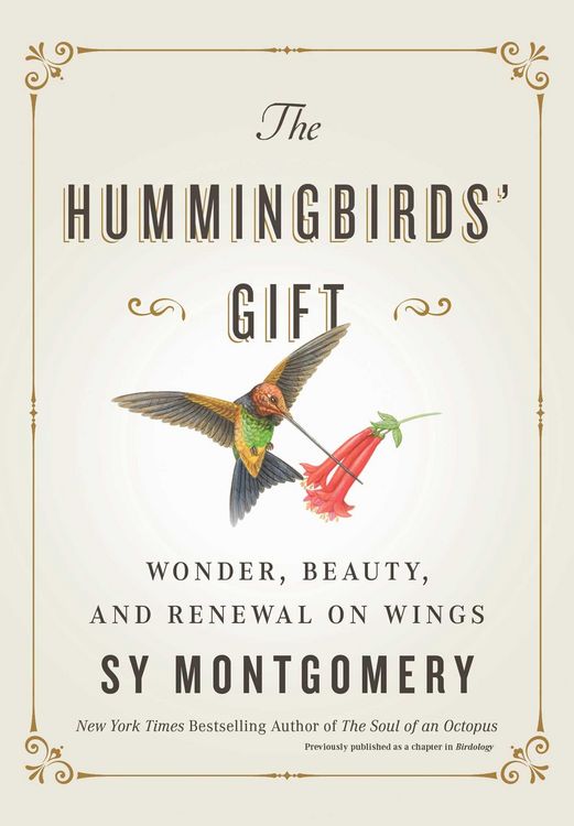 Produktbild: The Hummingbirds' Gift