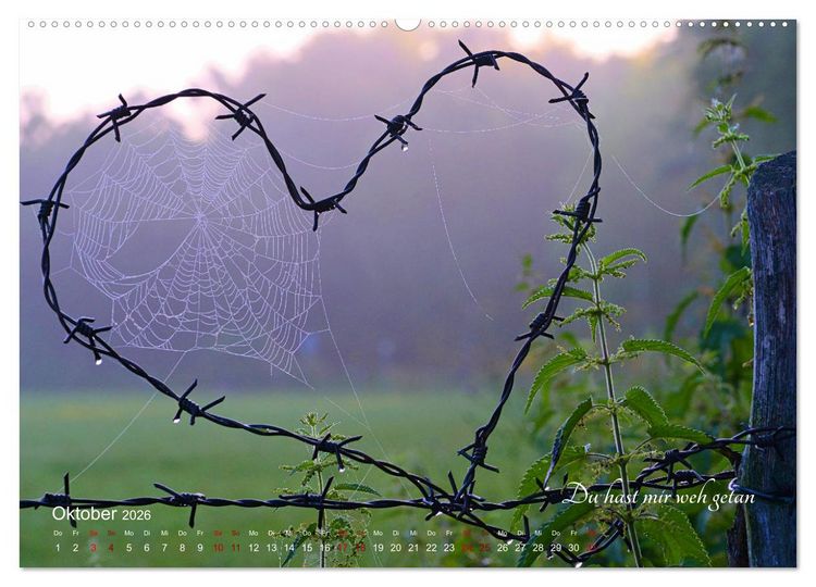 Produktbild: Emotionale Herzensdinge (hochwertiger Premium Wandkalender 2026 DIN A2 quer), Kunstdruck in Hochglanz