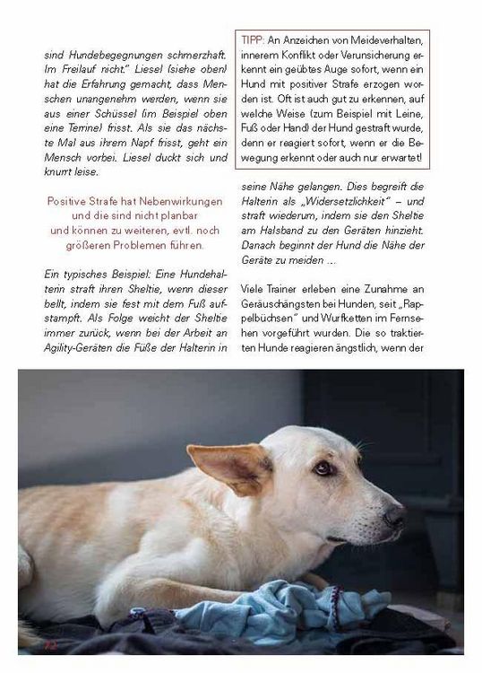 Produktbild: Grenzen setzen