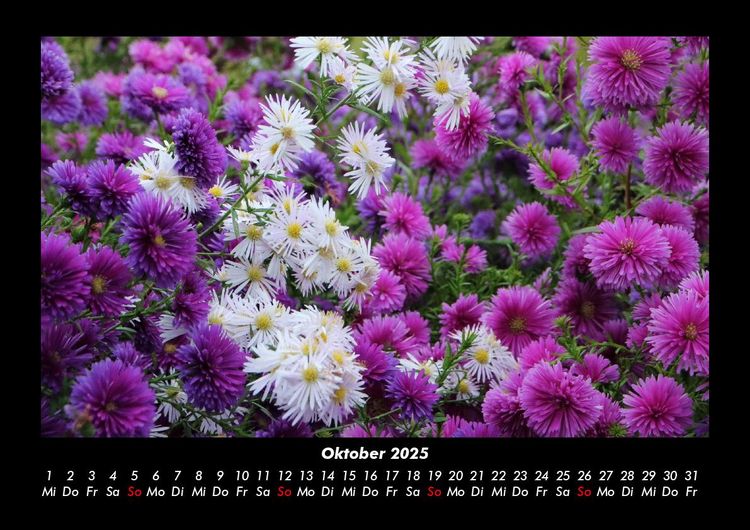 Produktbild: Blumenkalender 2025 Fotokalender DIN A3
