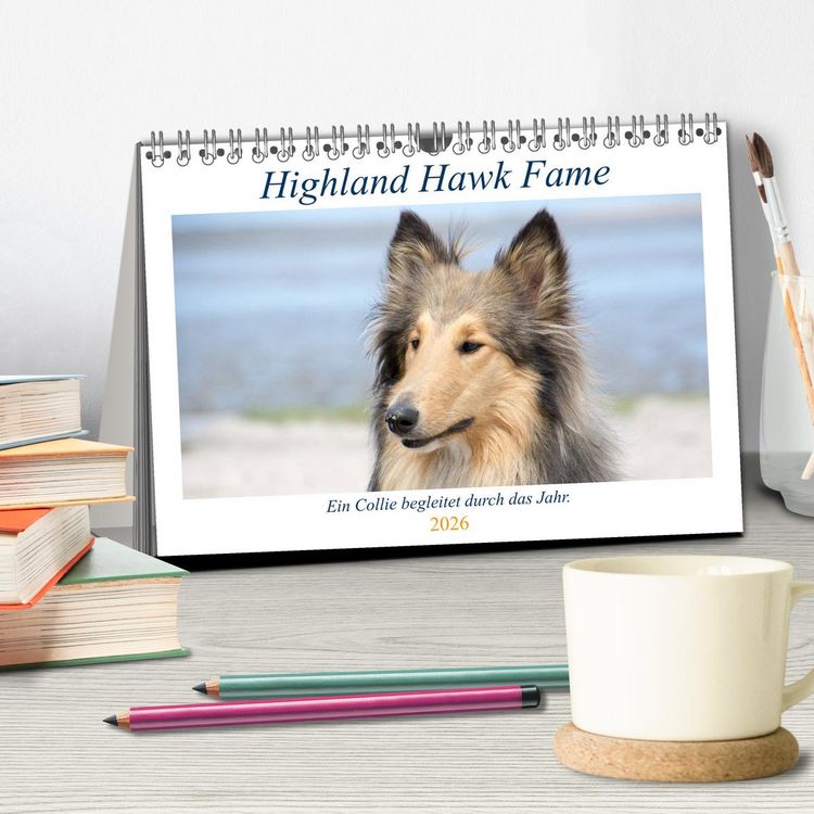 Produktbild: Highland Hawk Fame - Ein Collie begleitet durch das Jahr (Tischkalender 2026 DIN A5 quer), CALVENDO Monatskalender
