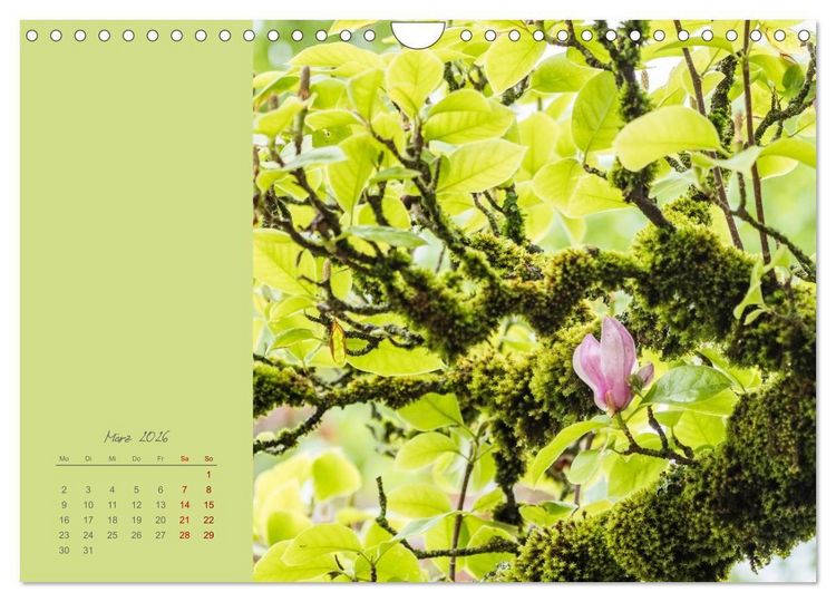 Produktbild: Bl&uuml;tenstil (Wandkalender 2026 DIN A4 quer), CALVENDO Monatskalender