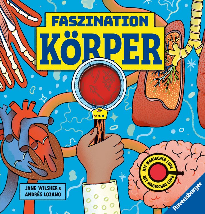 Produktbild: Faszination K&ouml;rper