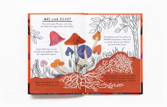 Produktbild: Hallo Pilze