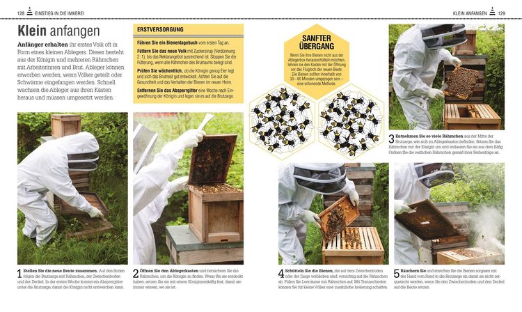 Produktbild: Das Bienen Buch