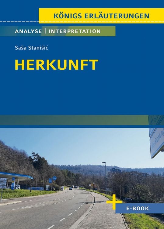 Bild vom Artikel Herkunft von SaSa StaniSic - Textanalyse und Interpretation vom Autor Sasa Stanisic