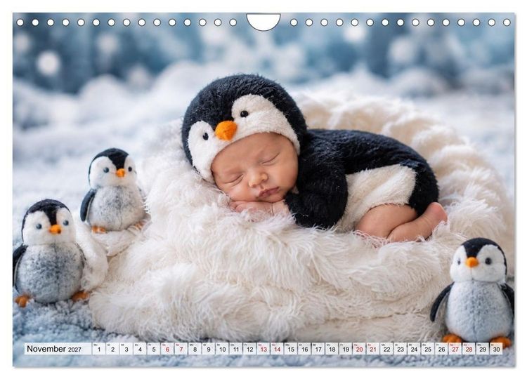 Produktbild: Kleine Wundertr&auml;ume (Wandkalender 2027 DIN A4 quer), CALVENDO Monatskalender
