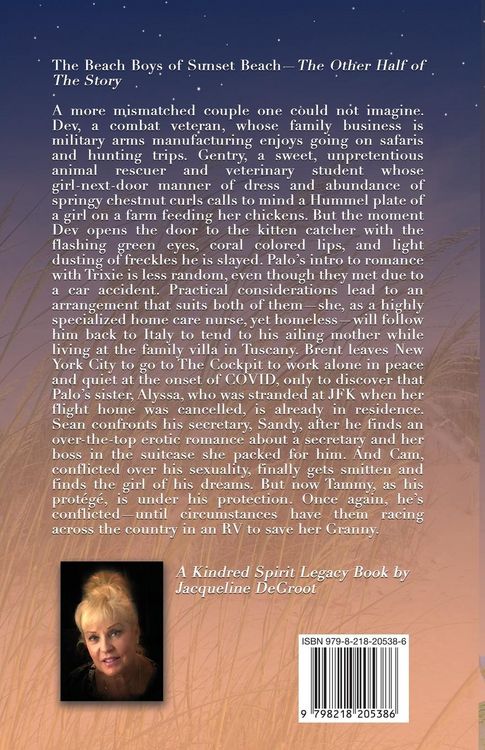 Produktbild: The Beach Boys of Sunset Beach Part Two