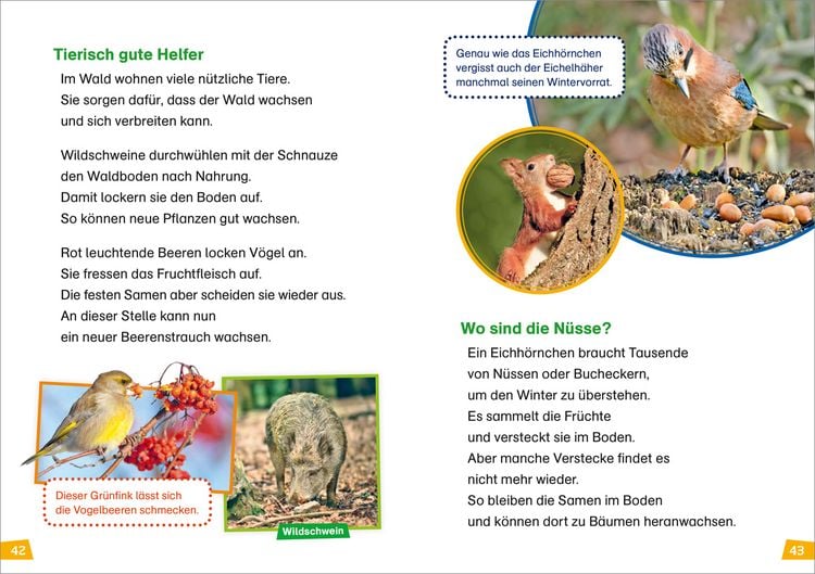 Produktbild: WAS IST WAS Erstes Lesen Band 6. Wald