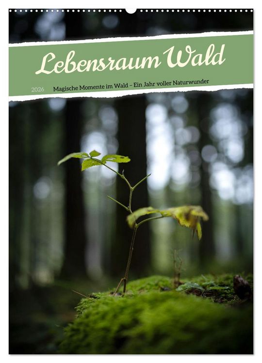 Produktbild: Lebensraum Wald (Wandkalender 2026 DIN A2 hoch), CALVENDO Monatskalender