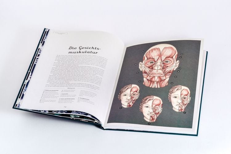 Produktbild: Das Museum des K&ouml;rpers