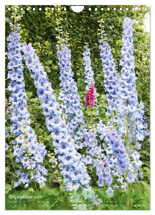 Produktbild: Garden Bliss (Wall Calendar 2026 DIN A4 portrait), CALVENDO 12 Month Wall Calendar