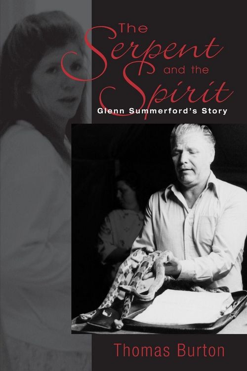 Produktbild: The Serpent And The Spirit