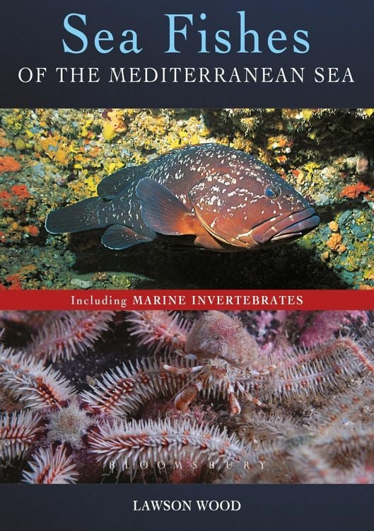Produktbild: Sea Fishes Of The Mediterranean Including Marine Invertebrates