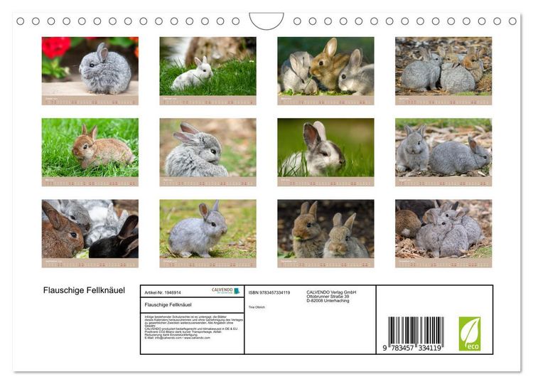 Produktbild: Flauschige Fellkn&auml;uel (Wandkalender 2026 DIN A4 quer), CALVENDO Monatskalender