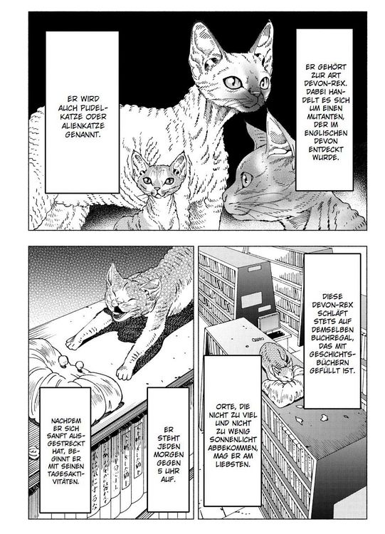 Produktbild: Night of the Living Cat 04 - Die Katze aus einer anderen Welt - D-Rex