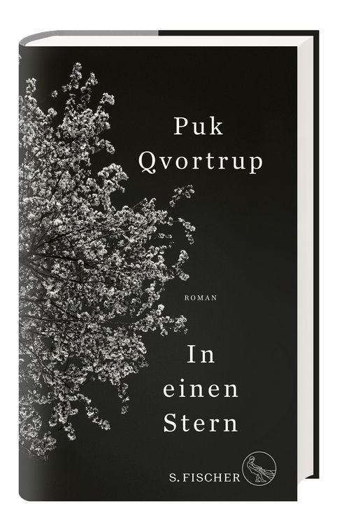 Produktbild: In einen Stern