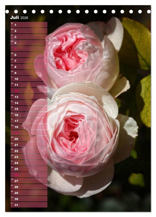Produktbild: Rosen f&uuml;r DICH / Geburtstagskalender (Tischkalender 2026 DIN A5 hoch), CALVENDO Monatskalender