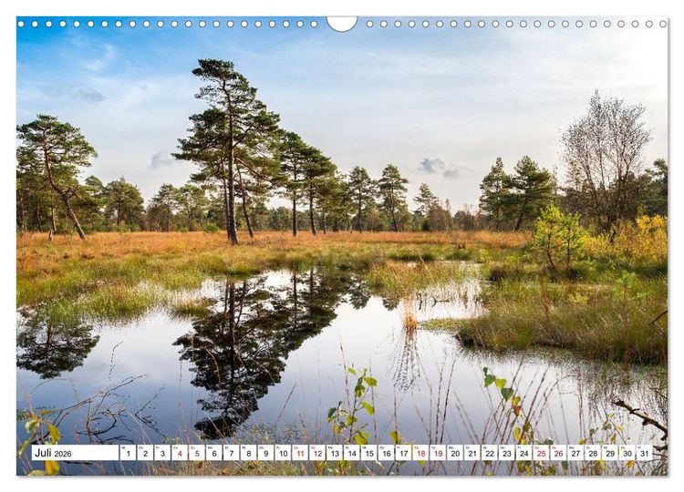 Produktbild: L&uuml;neburger Heide: Die Nordheide (Wandkalender 2026 DIN A3 quer), CALVENDO Monatskalender