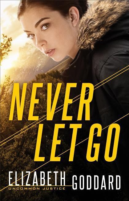 Produktbild: Never Let Go