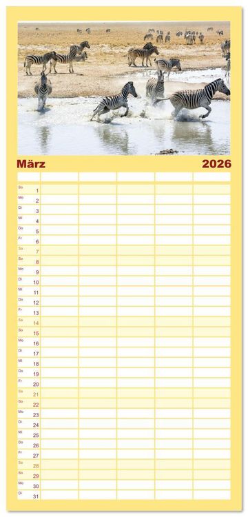 Produktbild: Familienplaner 2026 - Zebras in Afrika mit 5 Spalten (Wandkalender, 21 x 45 cm) CALVENDO