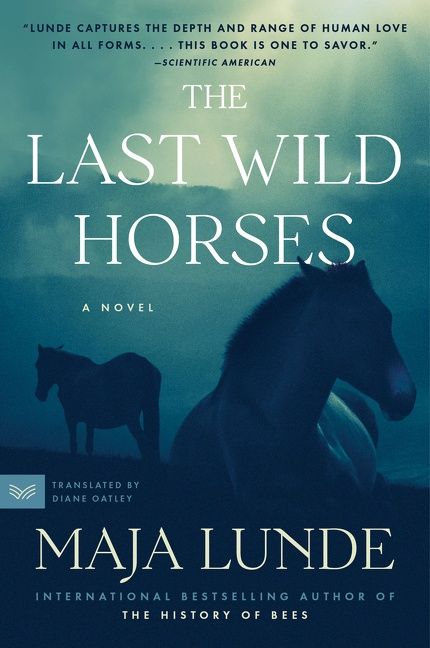 Produktbild: The Last Wild Horses