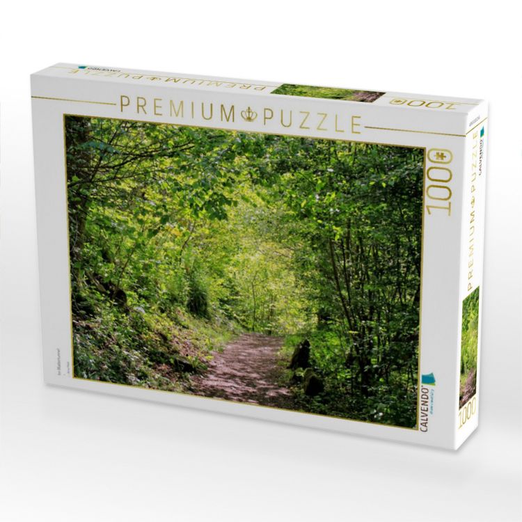 Produktbild: CALVENDO Puzzle Im Bl&auml;ttertunnel | 1000 Teile Lege-Gr&ouml;&szlig;e 64x48cm Foto-Puzzle f&uuml;r gl&uuml;ckliche Stunden