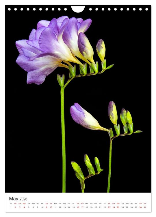 Springtime Calander