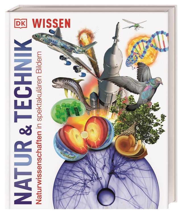 Produktbild: DK Wissen. Natur & Technik