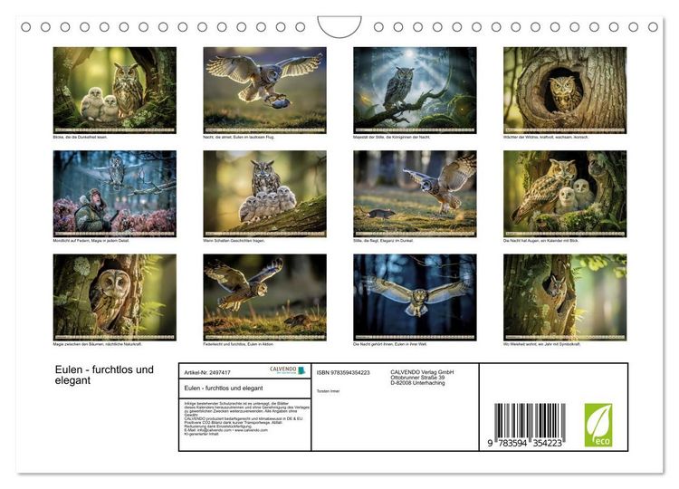Produktbild: Eulen - furchtlos und elegant (Wandkalender 2027 DIN A4 quer), CALVENDO Monatskalender