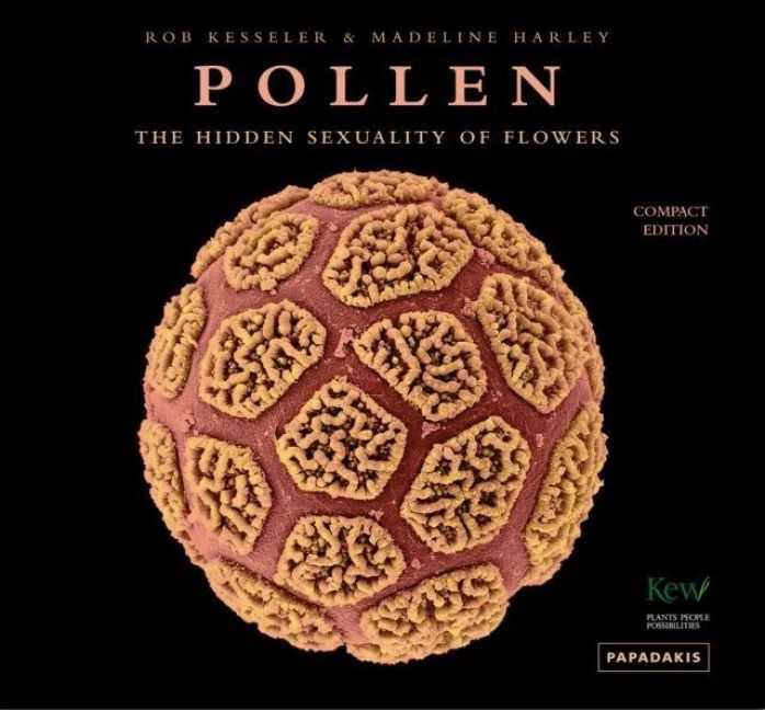 Produktbild: Pollen