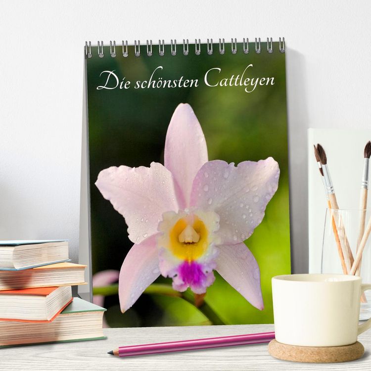 Produktbild: Die sch&ouml;nsten Cattleyen (Tischkalender 2026 DIN A5 hoch), CALVENDO Monatskalender