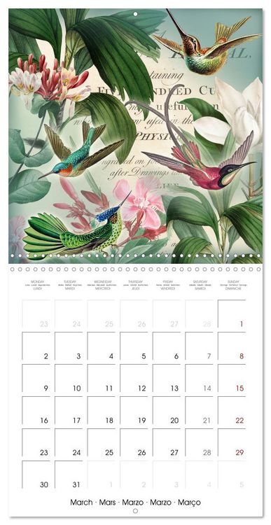 Produktbild: Lovely hummingbirds (Wall Calendar 2026 12 &times; 12 Inch) CALVENDO 12 Month Wall Calendar