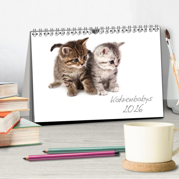 Produktbild: Katzenbabys (Tischkalender 2026 DIN A5 quer), CALVENDO Monatskalender