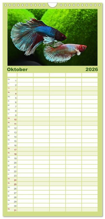 Produktbild: Familienplaner 2026 - Beliebte Fische der Welt mit 5 Spalten (Wandkalender, 21 x 45 cm) CALVENDO