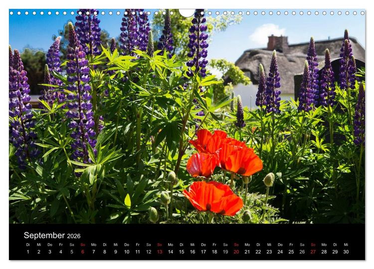Produktbild: Amrumer Impressionen (Wandkalender 2026 DIN A3 quer), CALVENDO Monatskalender